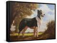 Canvas Black