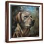Brown Frame