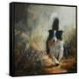 Canvas Black