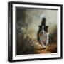 Black Frame
