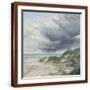 Brown Frame