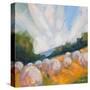 Stretched Canvas