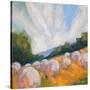 Stretched Canvas