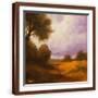 Brown Frame