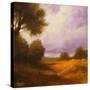 Stretched Canvas