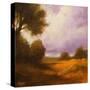 Stretched Canvas