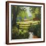 Brown Frame