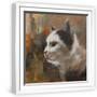 White Frame