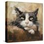 Stretched Canvas