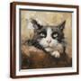 Brown Frame