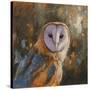 Stretched Canvas