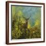Brown Frame