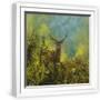 White Frame