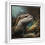 White Frame