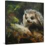 Stretched Canvas