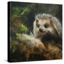 Stretched Canvas