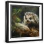 Black Frame