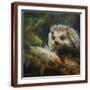 Brown Frame