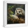 White Frame
