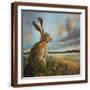 Brown Frame