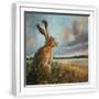 White Frame