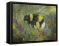 Framed Canvas