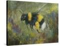 Stretched Canvas