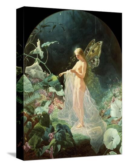 Stretched Canvas Print, , large