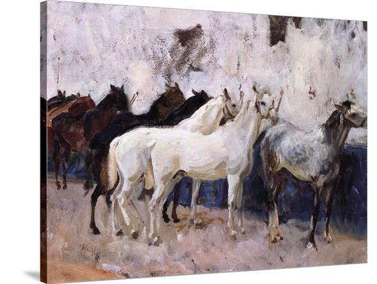 Stretched Canvas Print, , large