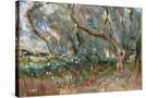 Stretched Canvas