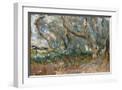 White Frame