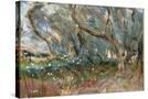 Stretched Canvas