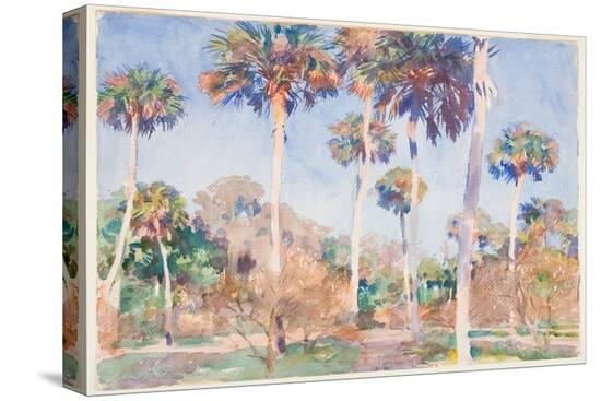 Stretched Canvas Print, , large