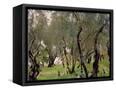 Canvas Black