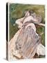 Stretched Canvas