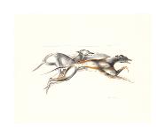 Full Stretch-John Skeaping-Premium Giclee Print