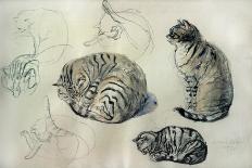 Studies of a cat, 1971-John Stanton Ward-Giclee Print