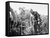 John Steinbeck-Associated Press-Framed Stretched Canvas