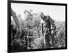 John Steinbeck-Associated Press-Framed Photographic Print