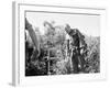 John Steinbeck-Associated Press-Framed Photographic Print