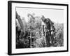 John Steinbeck-Associated Press-Framed Photographic Print