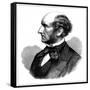 John Stuart Mill, British Social Reformer and Philosopher, 1873-null-Framed Stretched Canvas