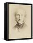 John Stuart Mill Philosopher-null-Framed Stretched Canvas