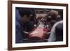 John Surtees in a Ferrari-null-Framed Photographic Print