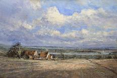 Wide Skies and Marshes, Norfolk, 2008-John Sutton-Giclee Print