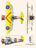 Curtiss BF2C-1 Hawk-John T. McCoy Jr.-Art Print