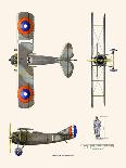 Curtiss BF2C-1 Hawk-John T. McCoy Jr.-Art Print