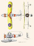 Curtiss BF2C-1 Hawk-John T. McCoy Jr.-Art Print