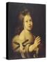 John the Baptist as Child-Bernardo Strozzi-Stretched Canvas