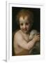 John the Baptist as Child-Andrea del Sarto-Framed Giclee Print